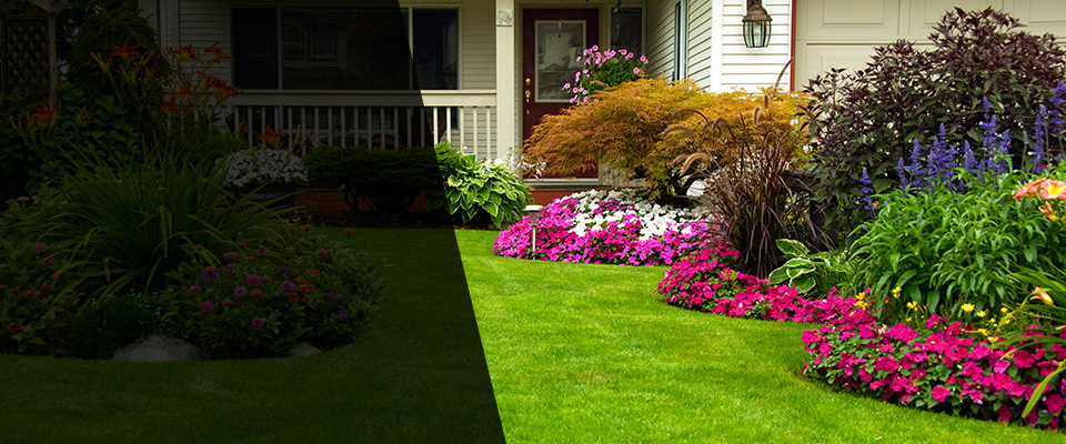 Versailles Landscapers